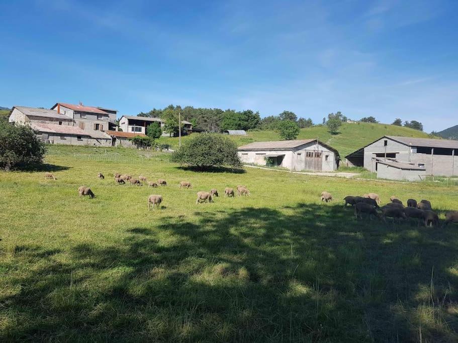Gite Des Millets En Baronnies Rosans ภายนอก รูปภาพ